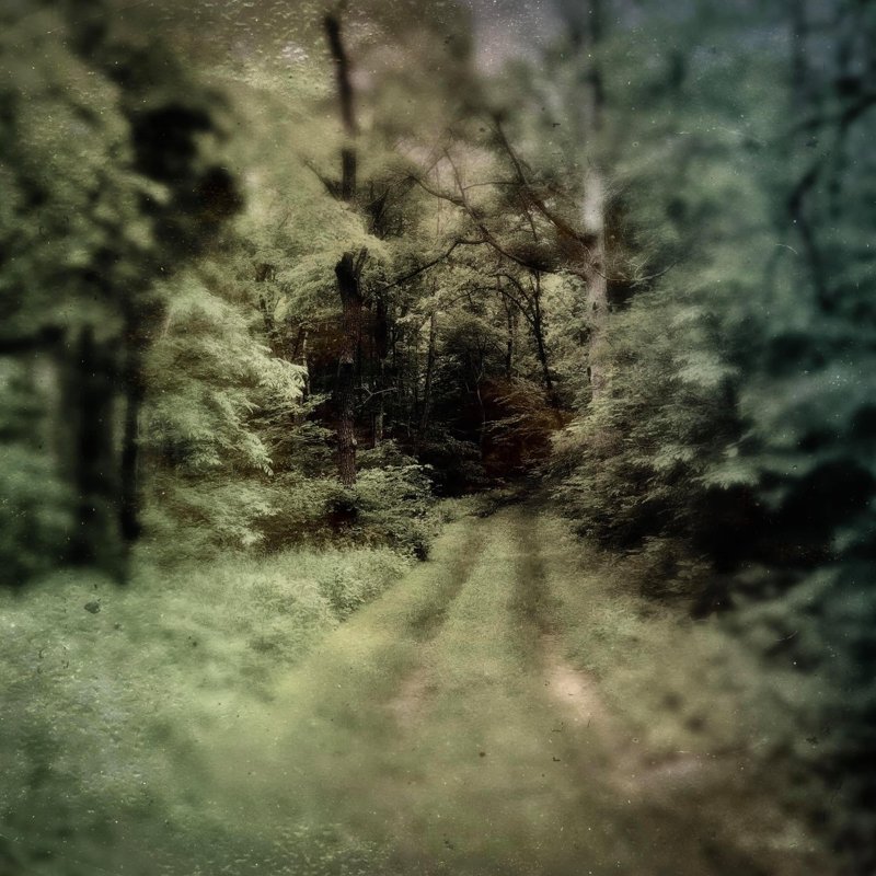 Todd Stabley