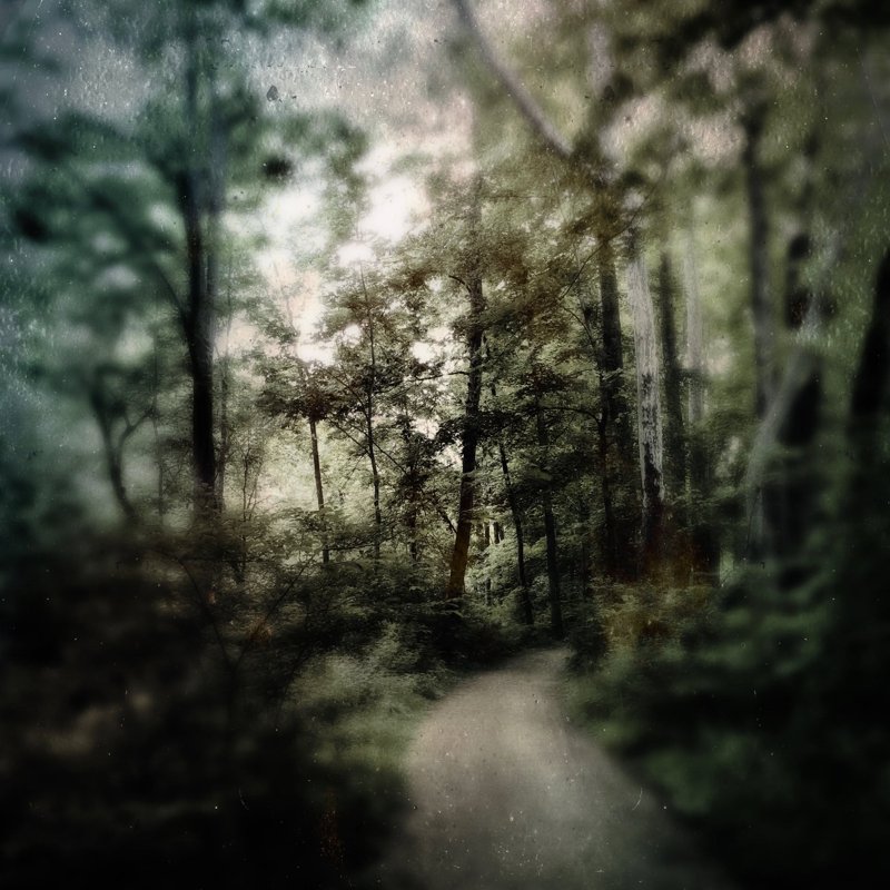 Todd Stabley