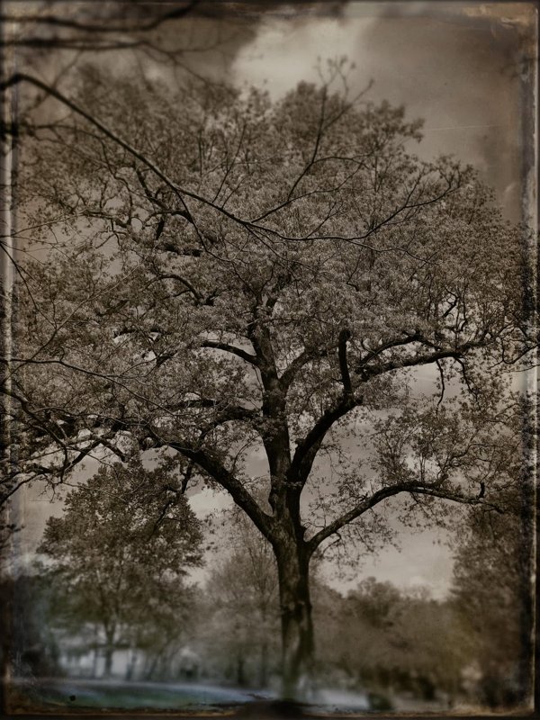Todd Stabley