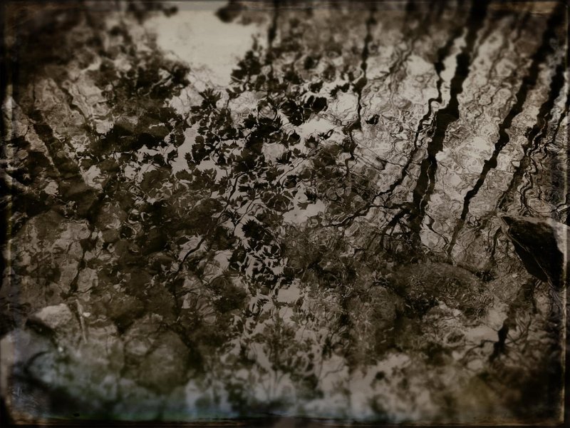 Todd Stabley