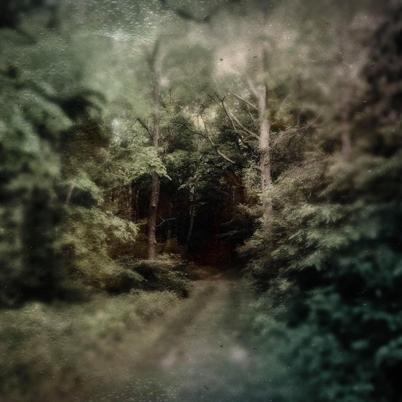 Todd Stabley