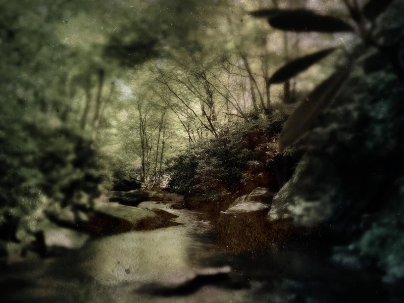 Todd Stabley
