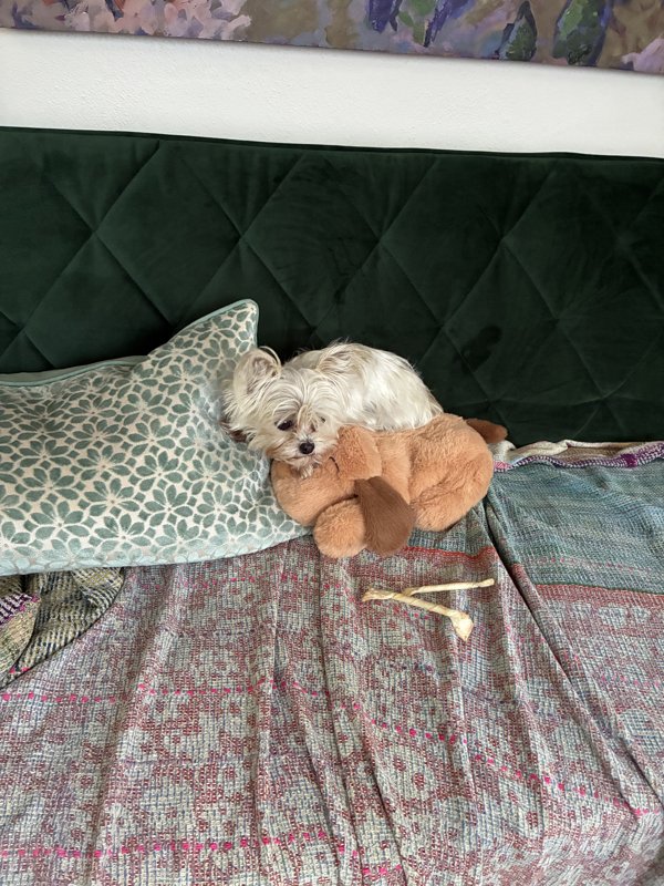 Maggie