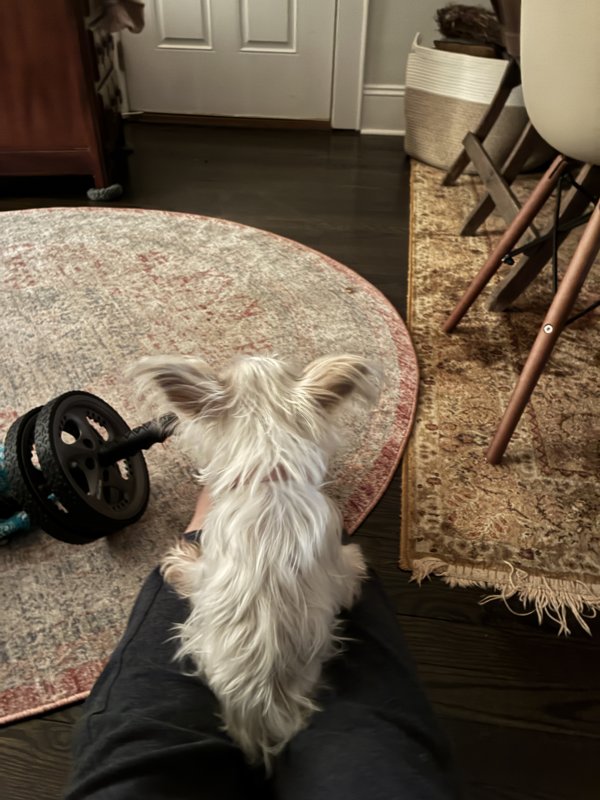 Maggie