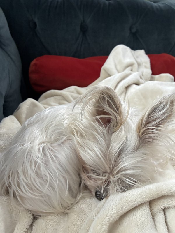 Maggie