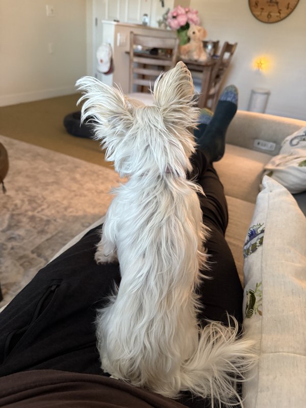 Maggie