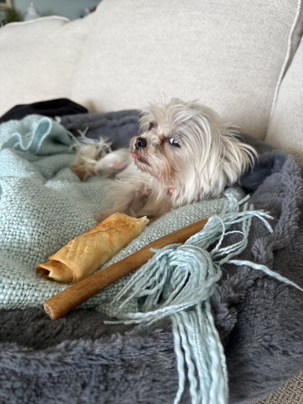 Maggie