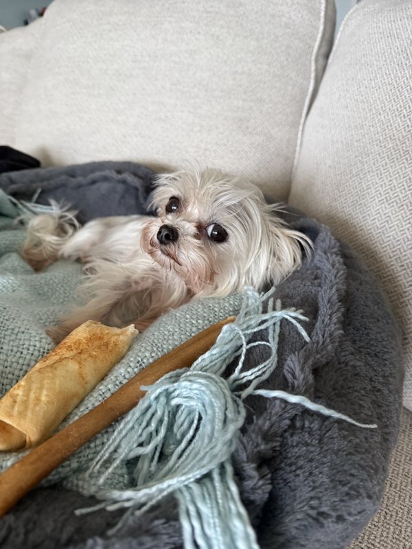 Maggie