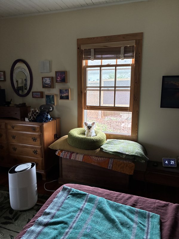 Maggie