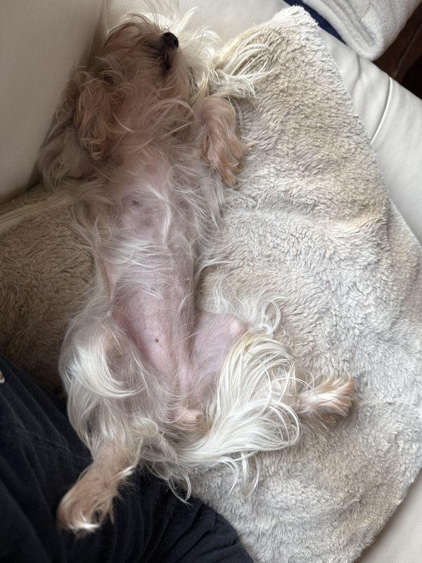 Maggie