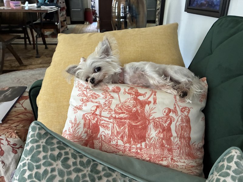 Maggie