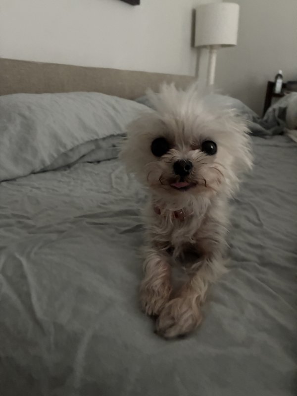 Maggie