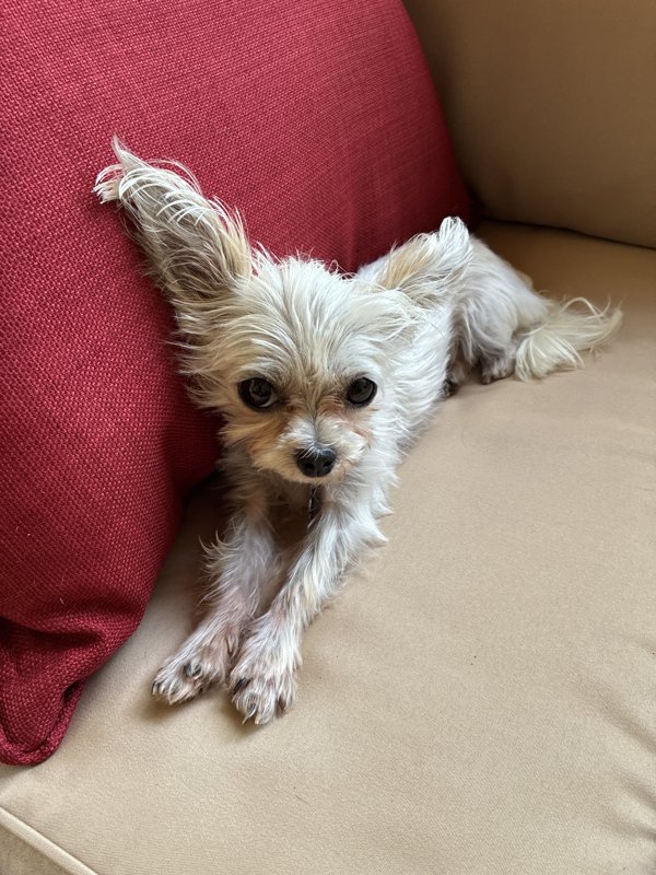 Maggie