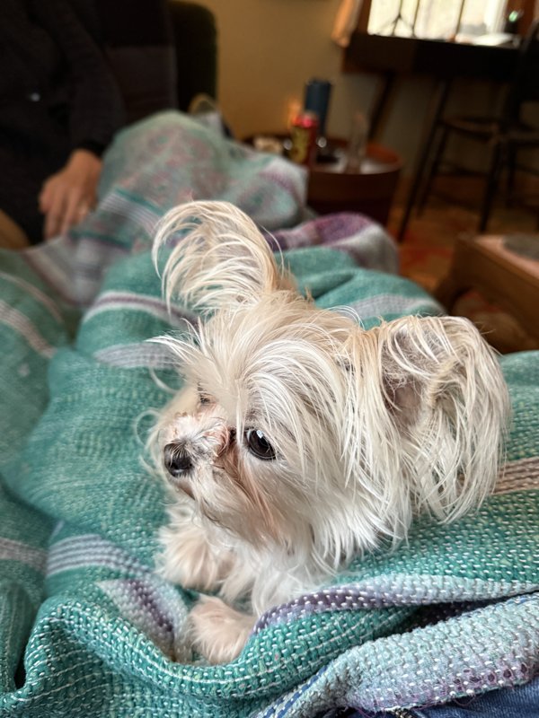 Maggie