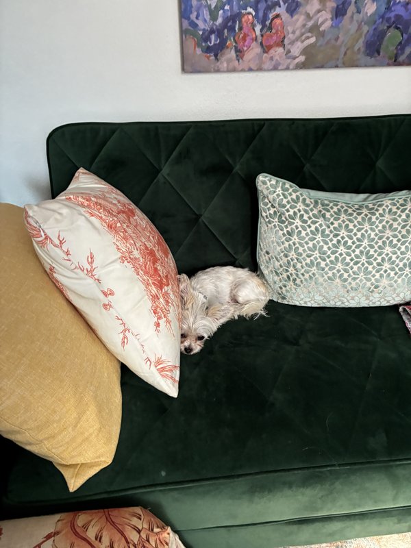 Maggie