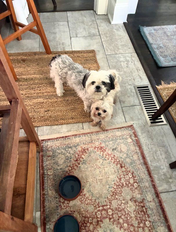 Maggie