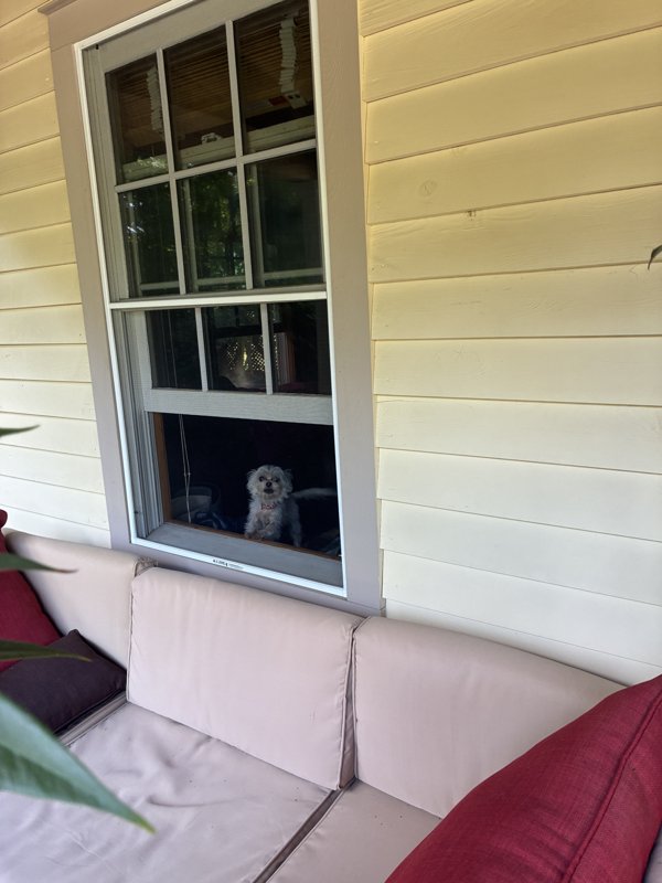 Maggie