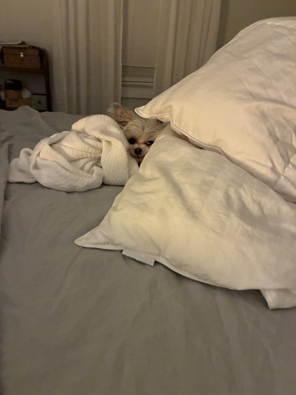 Maggie