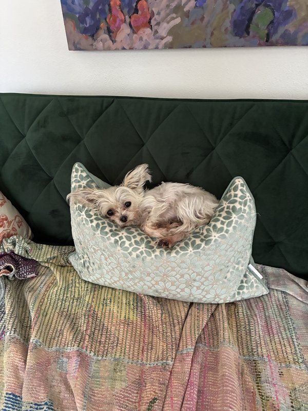 Maggie