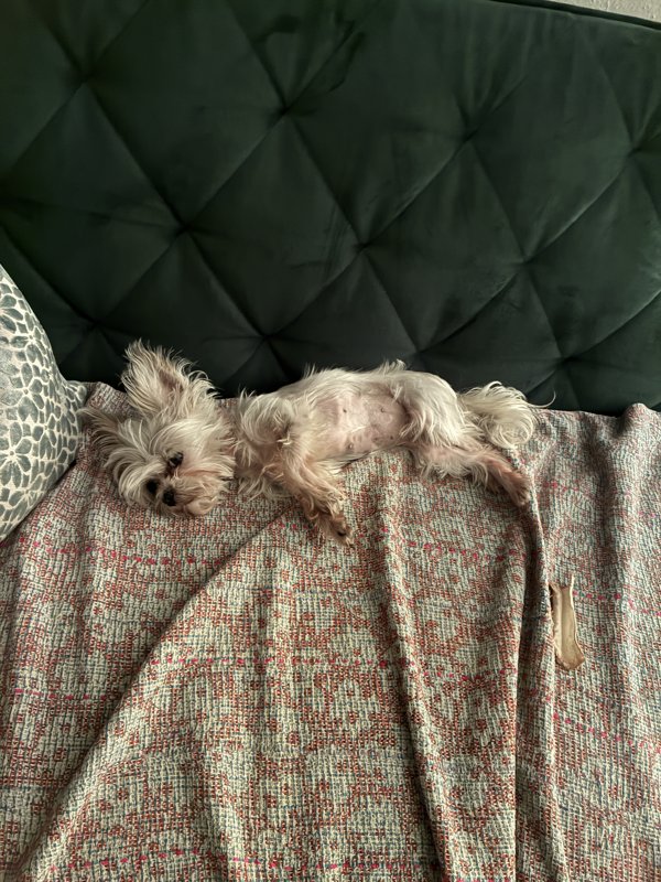 Maggie