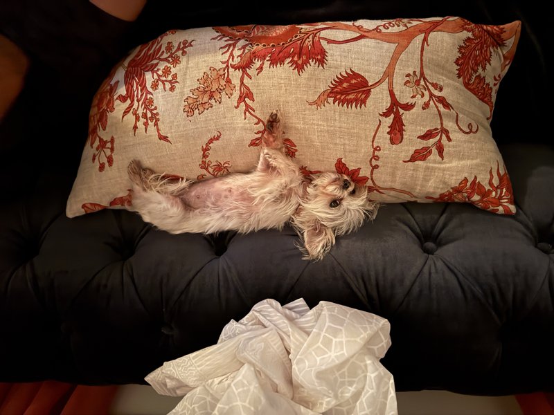 Maggie