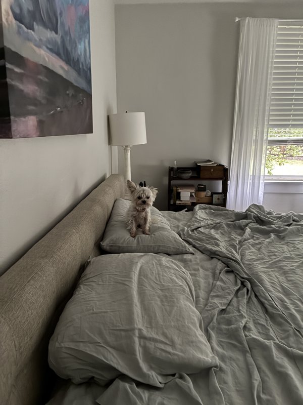 Maggie
