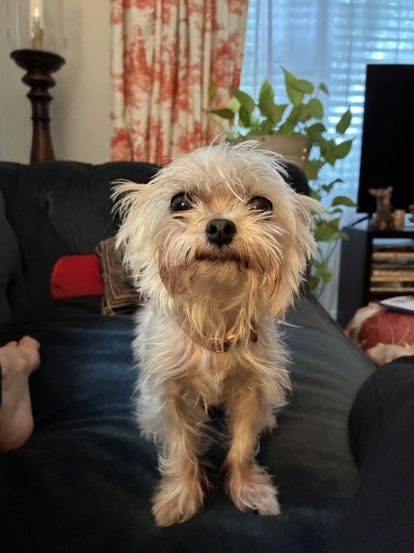 Maggie