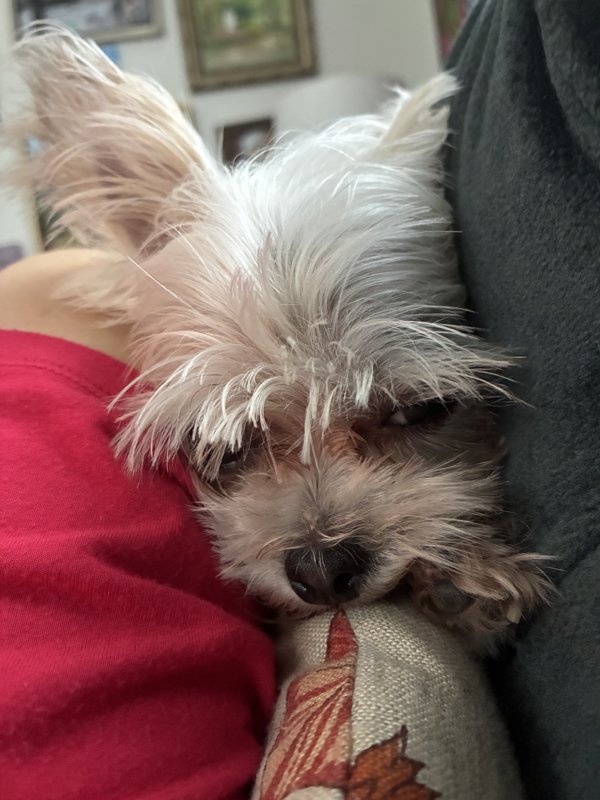 Maggie