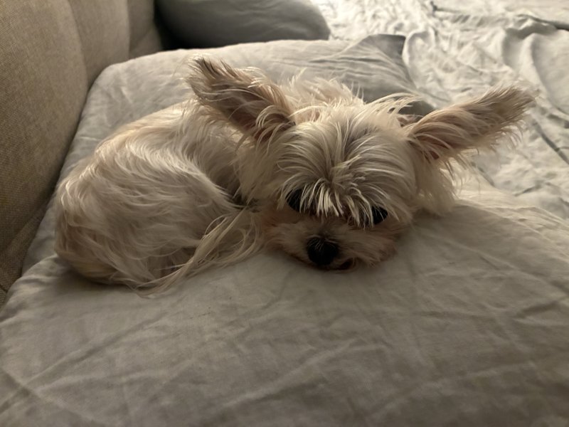 Maggie