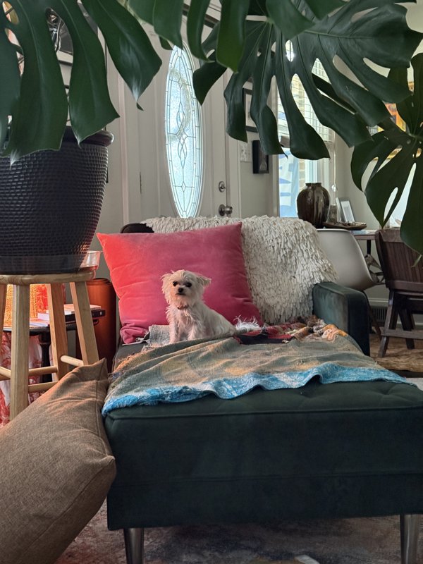 Maggie