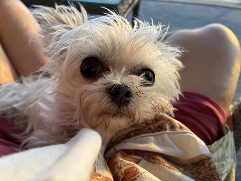 Maggie