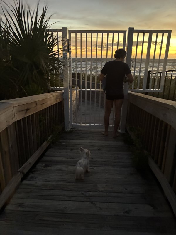 Maggie