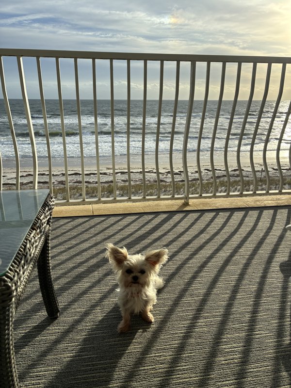 Maggie