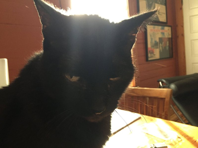 Ronnie
