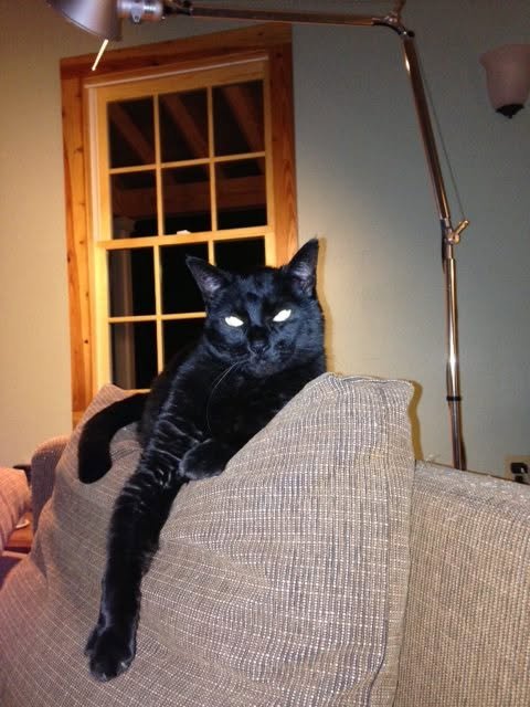 Ronnie