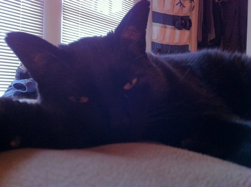 Ronnie