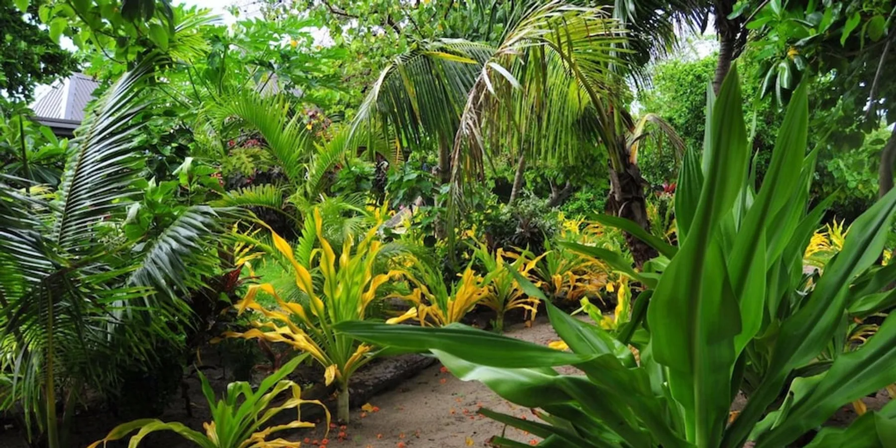 Fiji travel inspiration