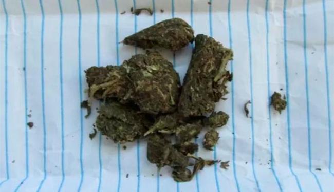 650x375_droga-maconha_1414544