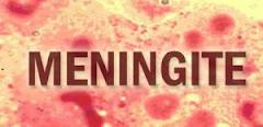 meningite