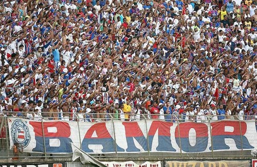 bamor-500x326