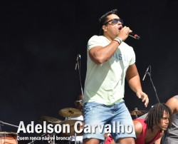 xanddyssafest