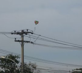 eletrocutado