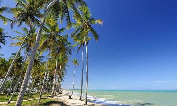 RTEmagicC_praiacoqueiral_prado.jpg