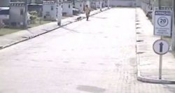 1081,irritado-tenente-da-pm-atira-quatro-vezes-contra-cachorros-veja-video-2