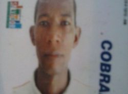 xIMAGEM_NOTICIA_5.jpg.pagespeed.ic.RCMeV3uRh0