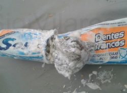 xIMAGEM_NOTICIA_5.jpg.pagespeed.ic.w97YNOHrcX
