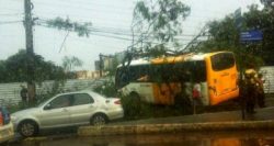 2048,micro-onibus-bate-em-arvore-e-complica-transito-em-sao-rafael-2