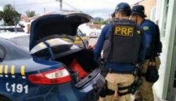 290x167_apreensao-produtos-falsificados-contrabando-prf-bahia_1551131