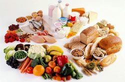 alimentação (1)