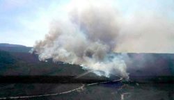 650x375_incendio-chapada-diamantina-fogo_1581858